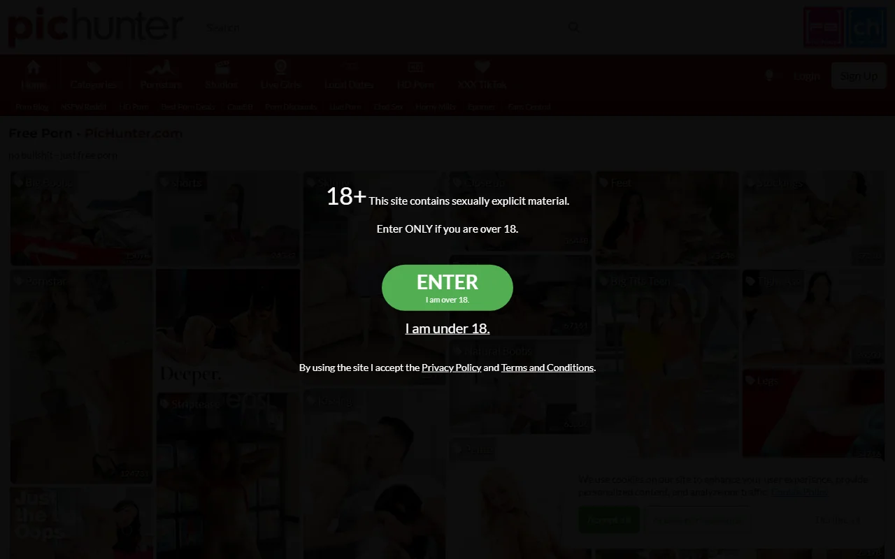 Screenshot: Pichunter Screenshot of Pichunter